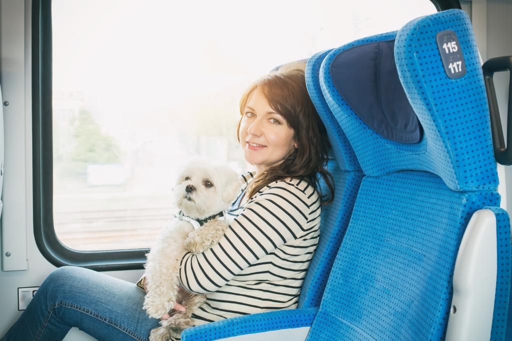 podróż z psem pociągiem, podróż z psem koleją od strony formalnej